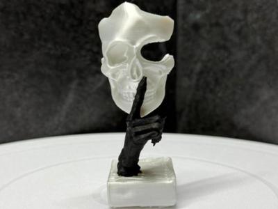 Skull mask