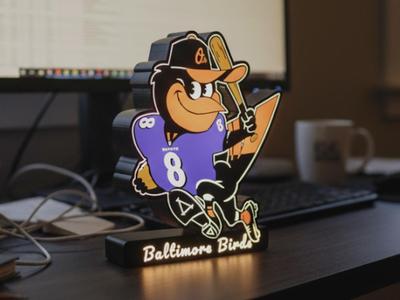 Baltimore Birds Custom Lightbox (Ravens & Orioles)