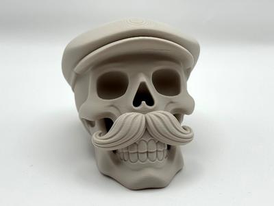 Sixpence Skull