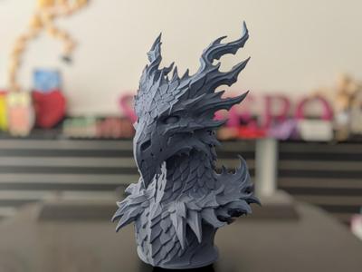 Shadow Dragon Bust