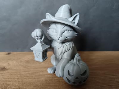 Halloween Cat
