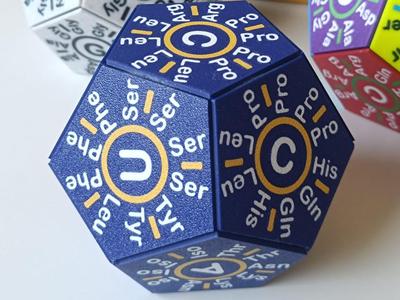 Genetic Dodecahedron | Educational Resource