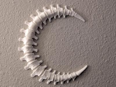 Spinal Moon Wall Decoration - 2 Hour Print