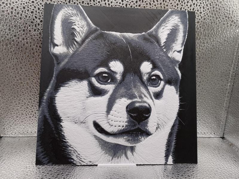 Shiba Inu Hueforge