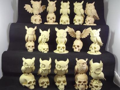 Salems Lot Series The Hollow Perch Owl Sanctuary