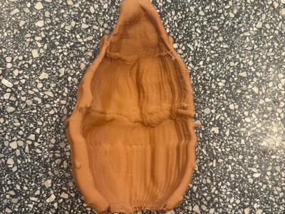Donkey Ears Prop – A Midsummer Night’s Dream