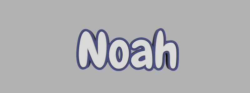 two-tone key ring - Noah