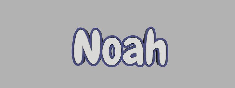 two-tone key ring - Noah