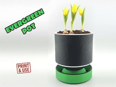 Self-Watering Planter - Evergreen Pot