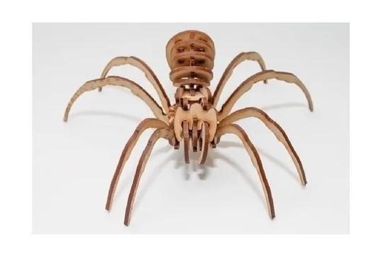 3D Spider