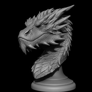 Smaug Bust