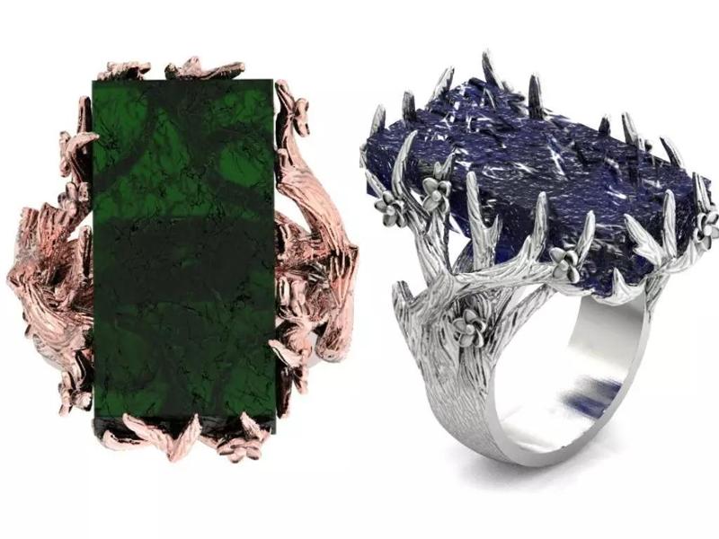 tree branch ring blossom bark 1268