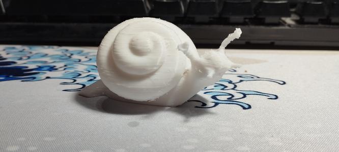 Theba Pisana Miniature