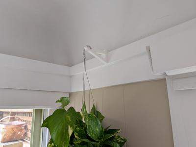 Hanging plant hook (for a picture rail)