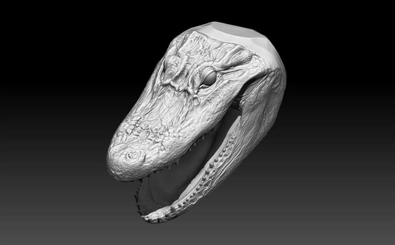 Alligator Crocodile bust head realistic high detailed