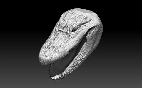 Alligator Crocodile bust head realistic high detailed
