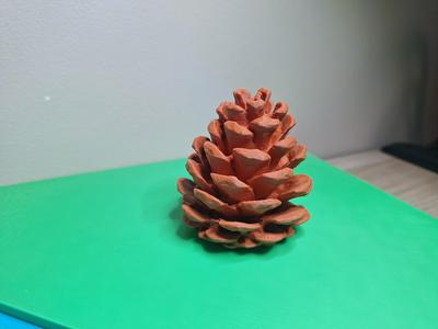 Decorative Pince Cone V2