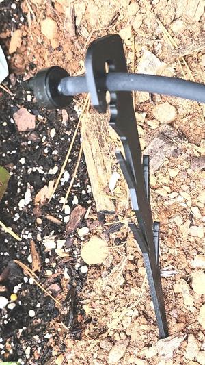 1/4" Irrigation Tubing Stake