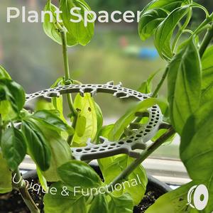Basil Plant Branch Spacer