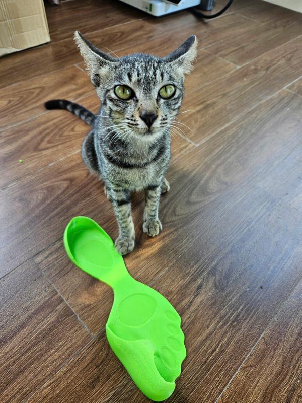 Balenciaga flip-flop Barefoot Zero shoes