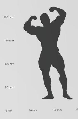 Wandtattoo Bodybuilder 2