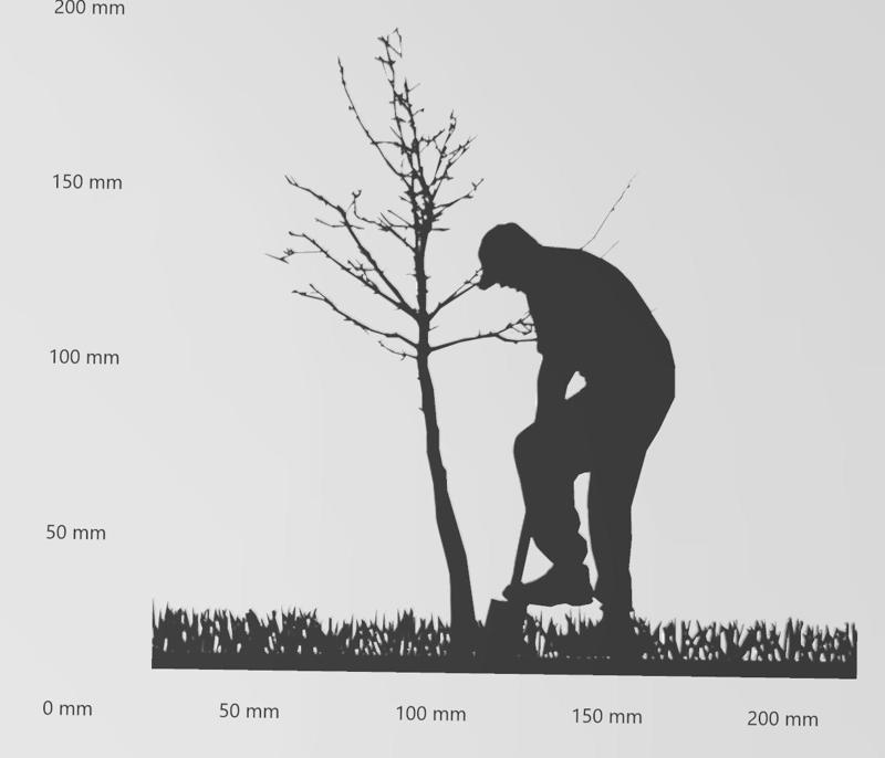 Wandtattoo Mann pflanzt Baum