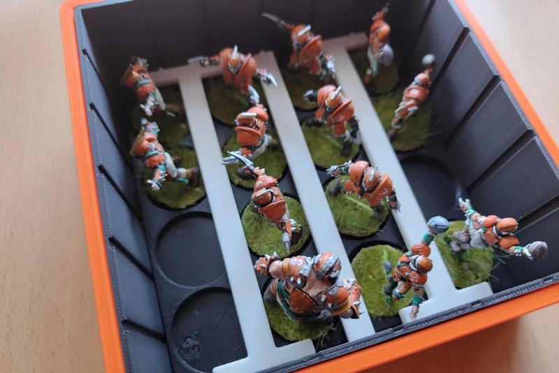 Modiboxi 32mm miniatures in place holder   