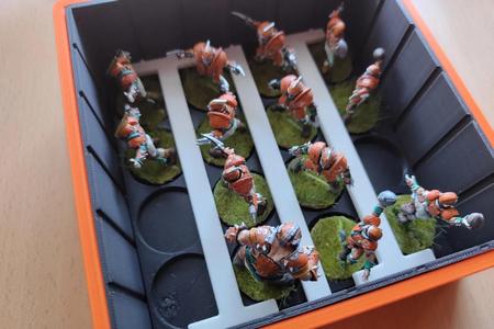 Modiboxi 32mm miniatures in place holder   