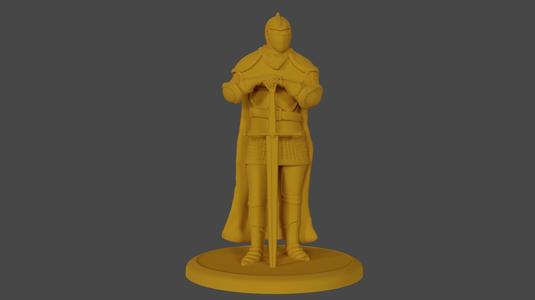 Paladin Knight