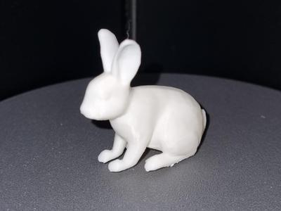 Sweet Bunny
