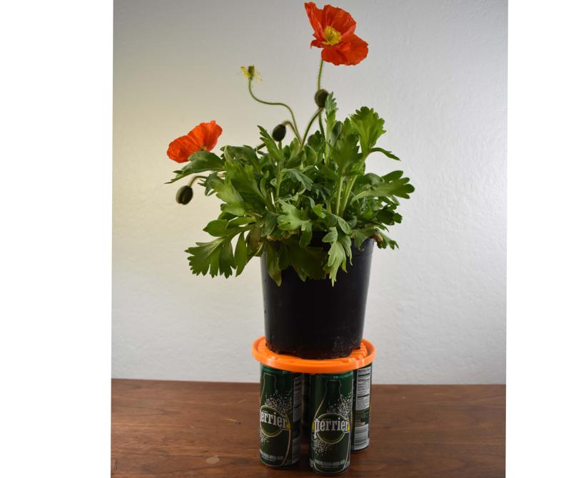 Water Saving Plant Stand