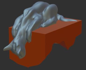 Hanging cat looking down