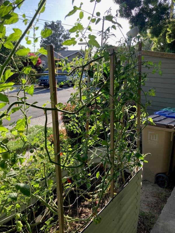 Vego / Birdie Raised Bed Post Support & Garden Trellis System