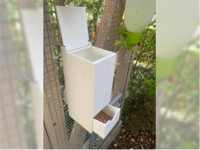 Bird feeder