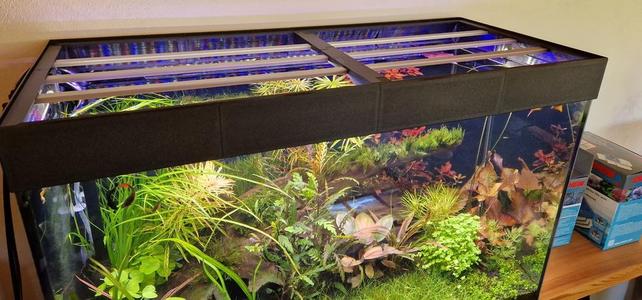 Aquarium cover 80x35 cm