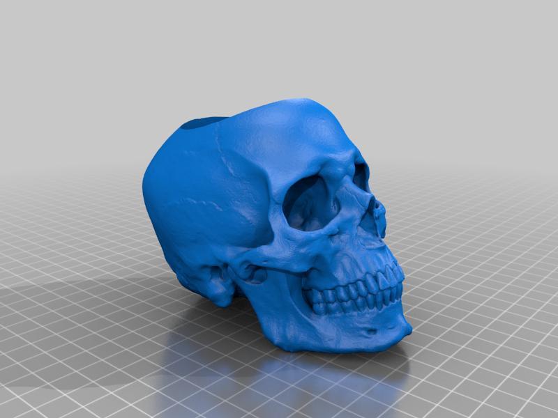 Skull pen/pencil and thumb drive holders