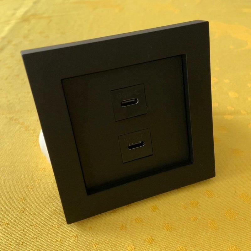 Gira 55 Keystone Holder Dual