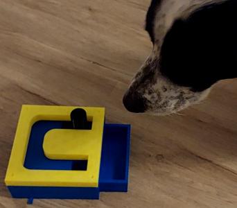 Maze Pet Toy