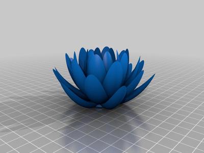 Water Lilly Lotus Flower V2