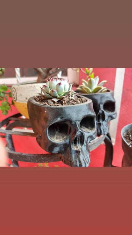 skull plantpot
