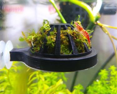 Moss dome