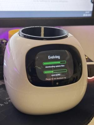 Ivy Smart Planter Plant Cup