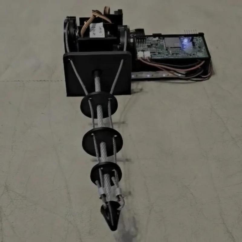 Tail Company DesqTail   