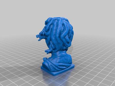 Medusa Head