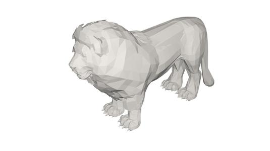 Lion Wild animal