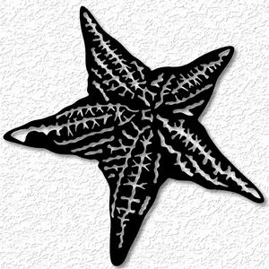 realistic starfish wall art sea life wall decor 2d art animal