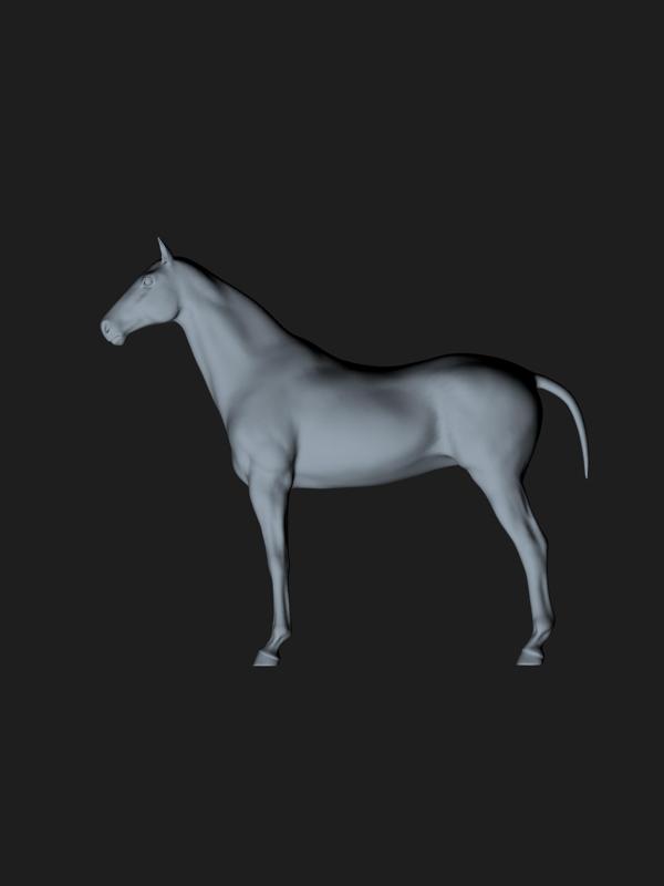 Horse - beautiful horse - decorative horse