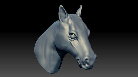 horse's head