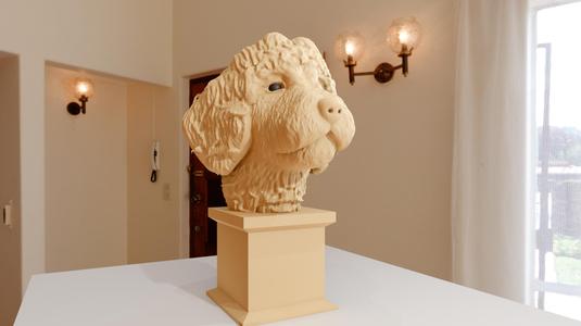 golden doodle head  bust stl