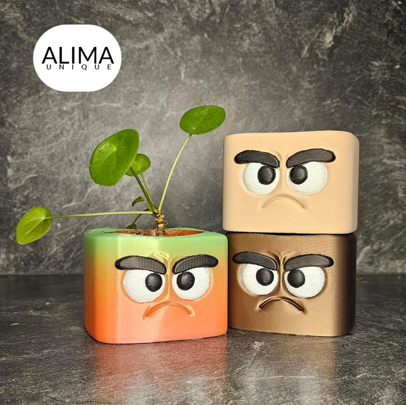 Grumpy buddy plant pot